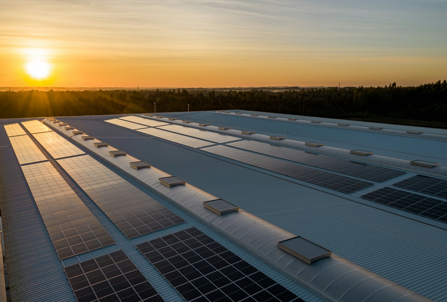 Photovoltaikanlage auf einem Hallendach im Sonnenuntergang